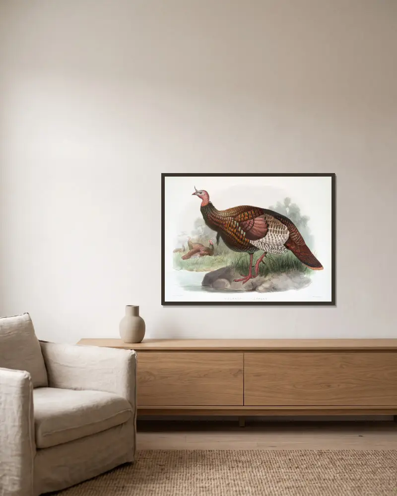 Meleagris gallopavo. av Joseph Smit inramad på en vägg