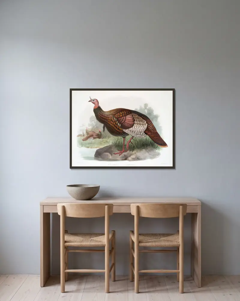 Meleagris gallopavo. av Joseph Smit inramad på en vägg
