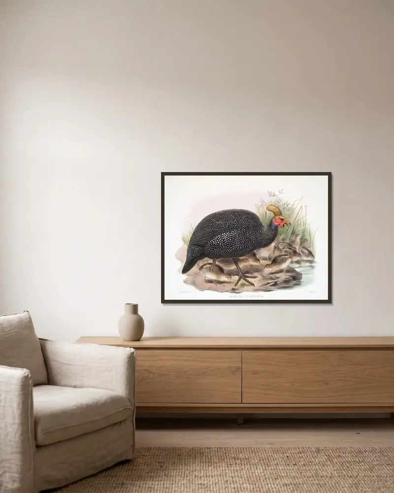 Numida coronata. av Joseph Smit inramad på en vägg
