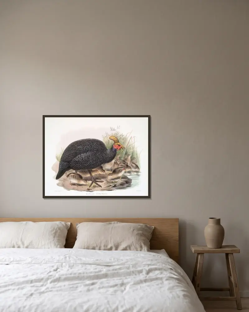 Numida coronata. av Joseph Smit inramad på en vägg