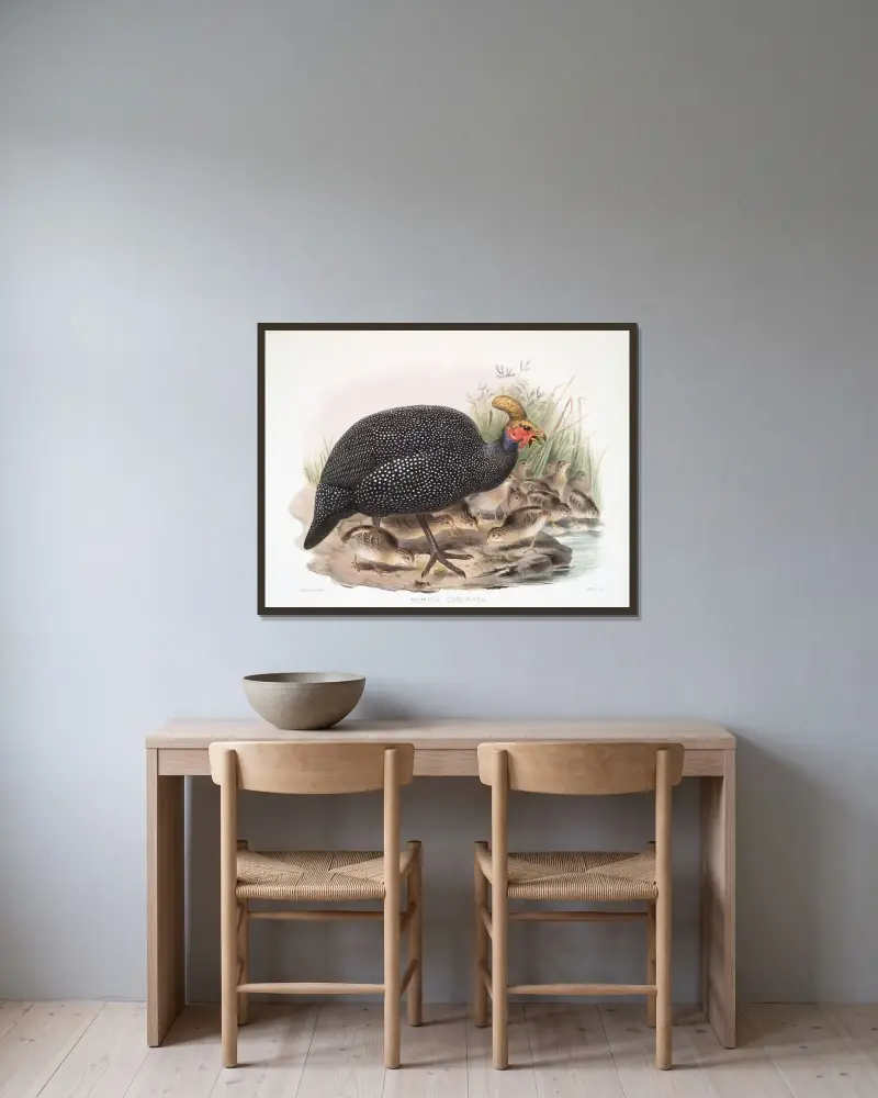 Numida coronata. av Joseph Smit inramad på en vägg