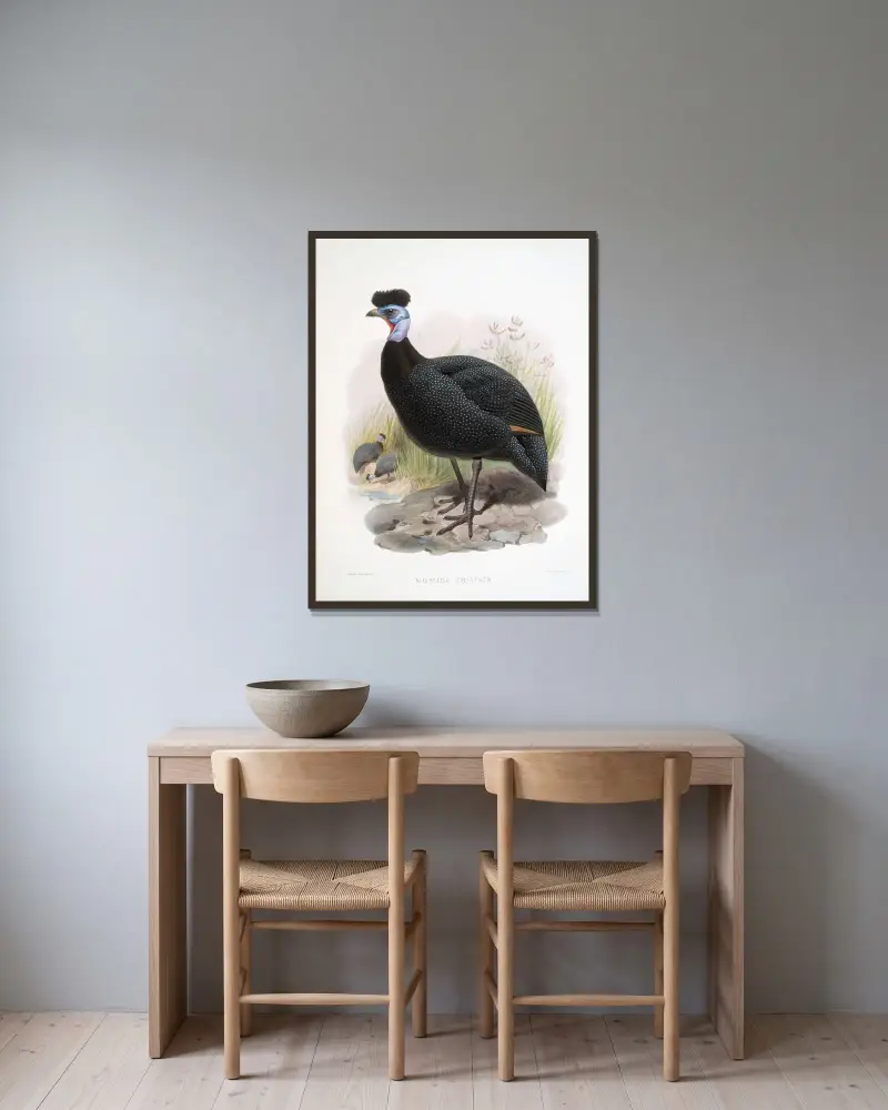 Numida cristata. von Joseph Smit gerahmt an einer Wand