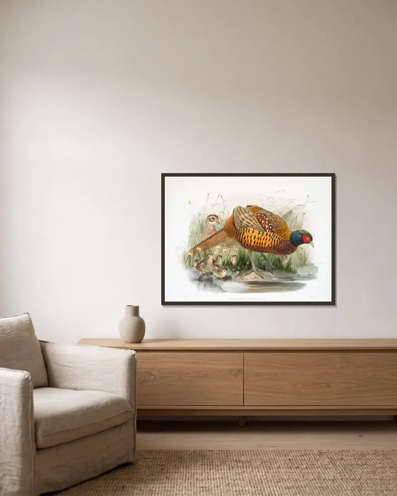 Fasan (Phasianus colchicus) von Joseph Smit gerahmt an einer Wand