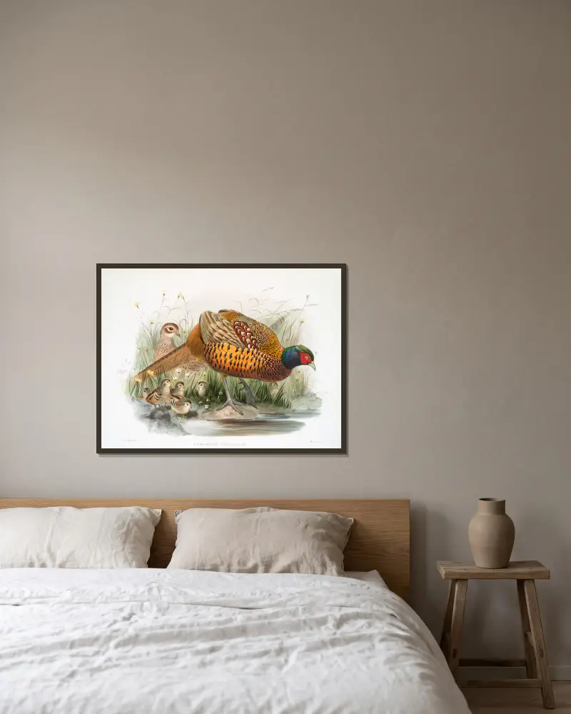 Fasan (Phasianus colchicus) von Joseph Smit gerahmt an einer Wand
