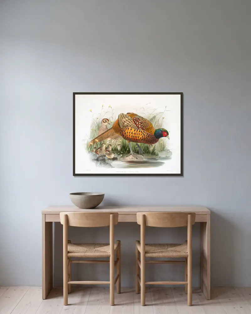 Fasan (Phasianus colchicus) von Joseph Smit gerahmt an einer Wand