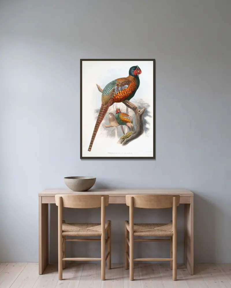 Phasianus elegans. von Joseph Smit gerahmt an einer Wand