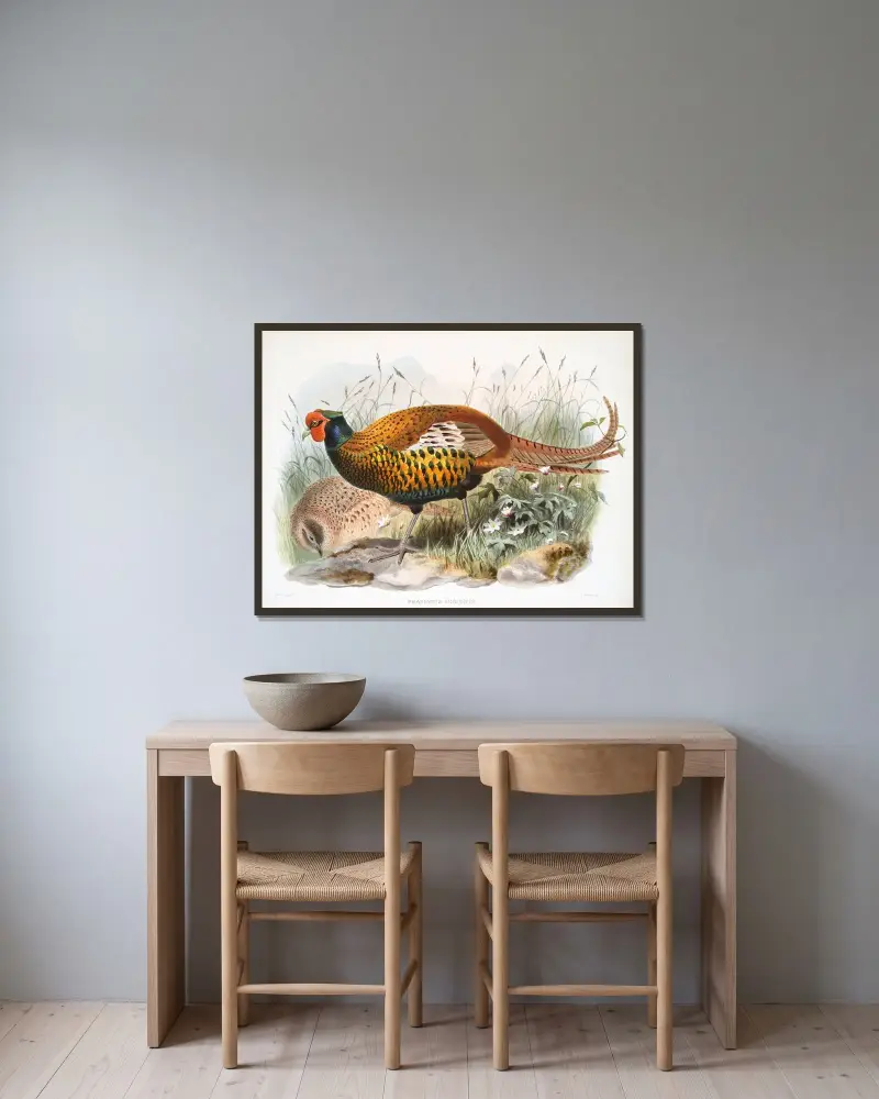 Phasianus insignis. av Joseph Smit inramad på en vägg