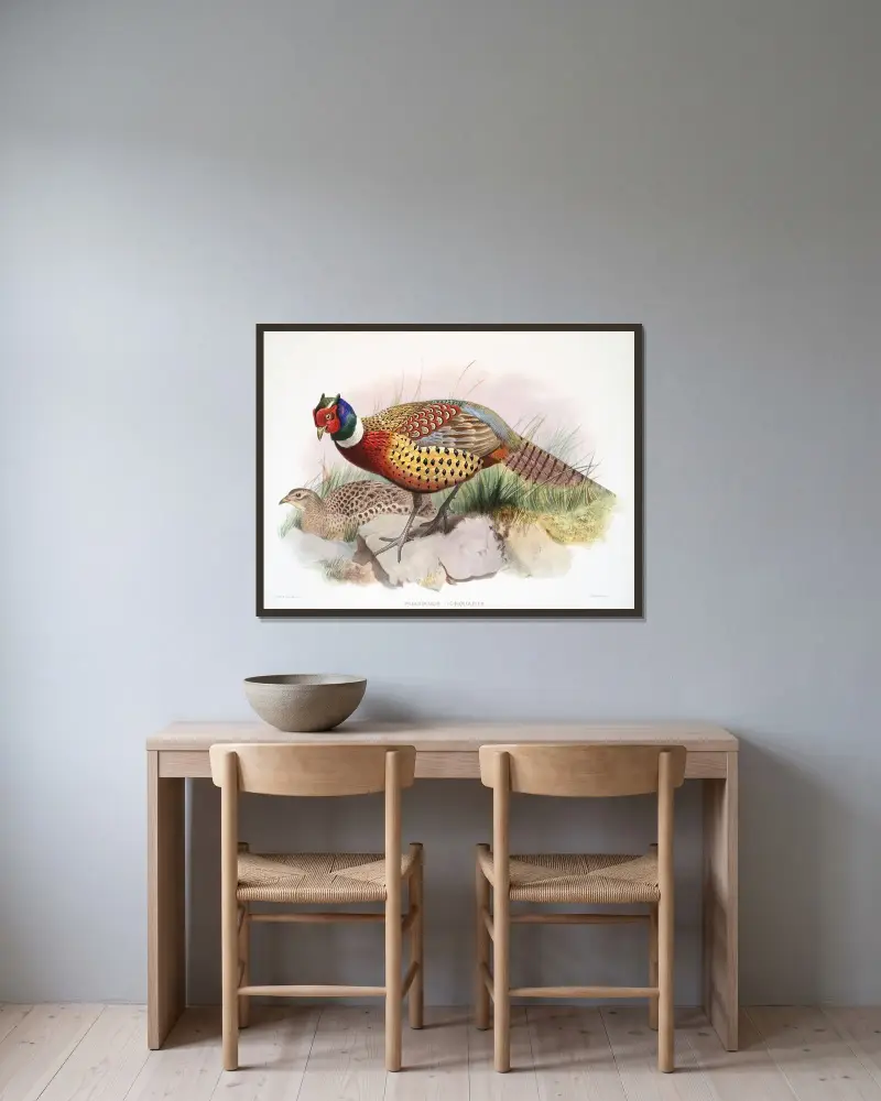 Phasianus torquatus. av Joseph Smit inramad på en vägg