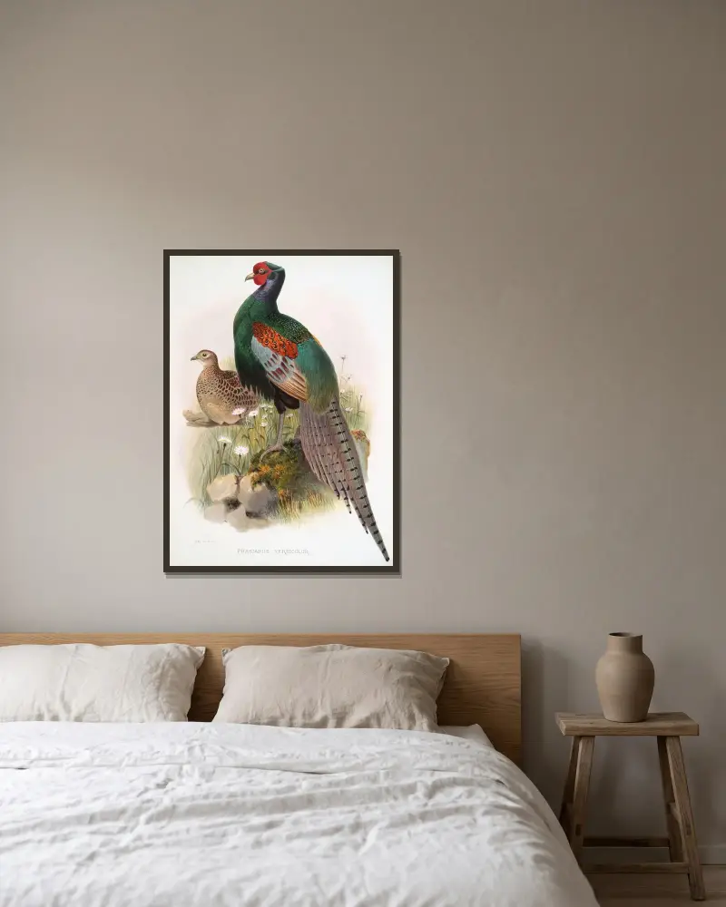 Phasianus versicolor. av Joseph Smit inramad på en vägg