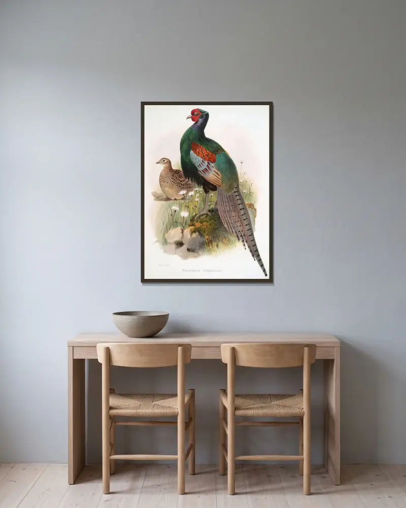 Phasianus versicolor. av Joseph Smit inramad på en vägg