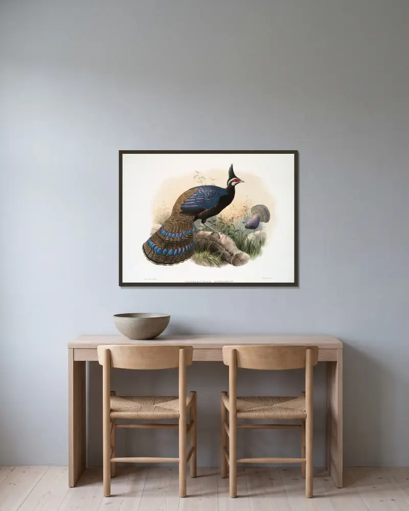 Polyplectron emphanum, Joseph Smit v rámu na stěně