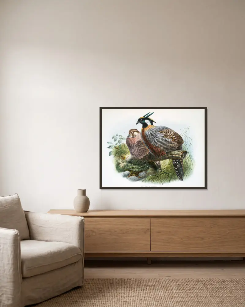 Purcasia xanthospila von Joseph Smit gerahmt an einer Wand