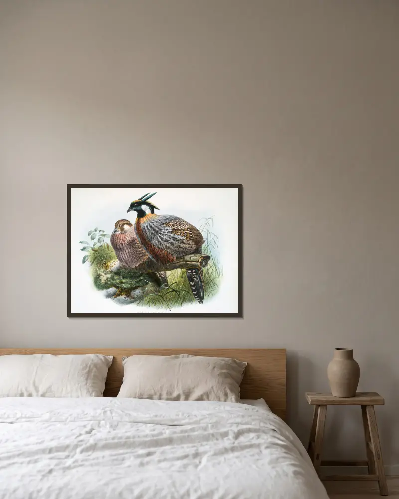Purcasia xanthospila von Joseph Smit gerahmt an einer Wand