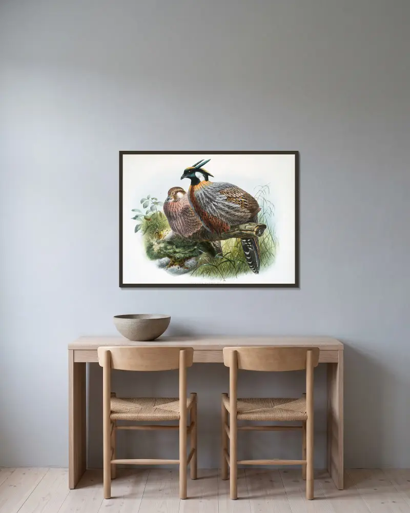 Purcasia xanthospila von Joseph Smit gerahmt an einer Wand
