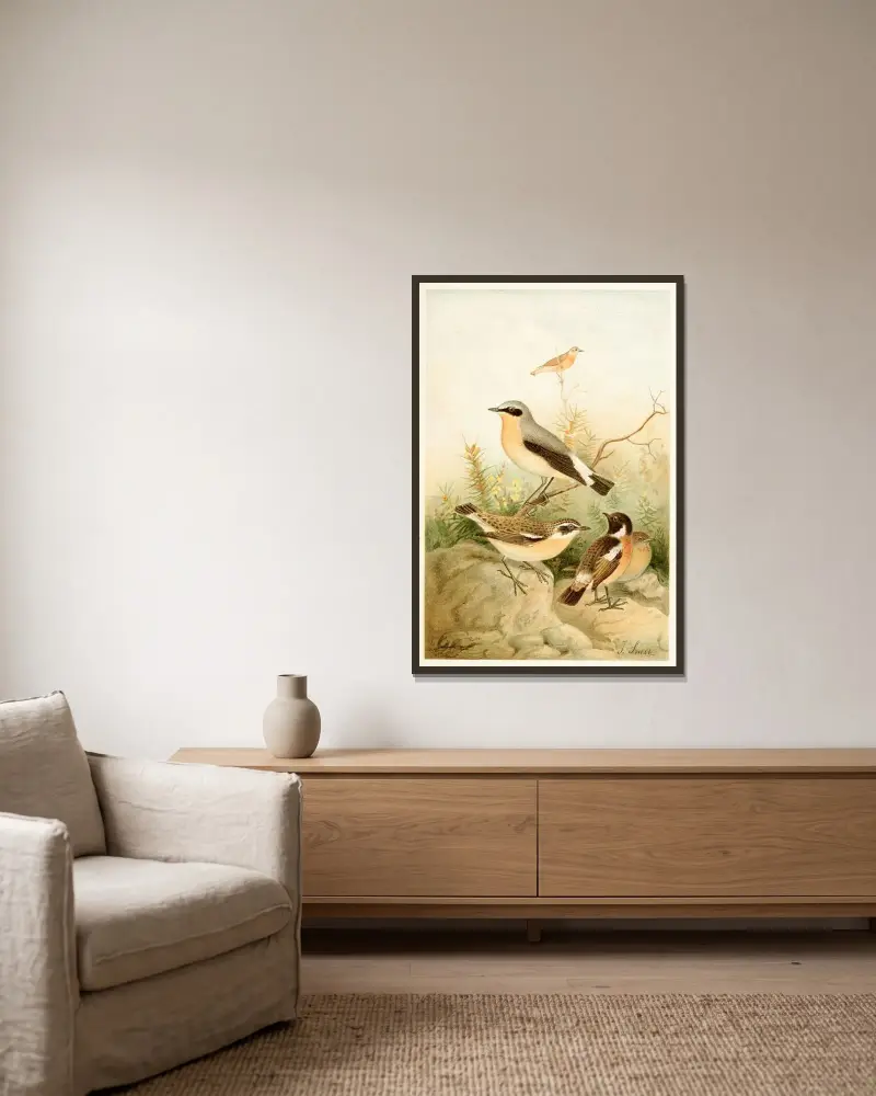 Wheatear, Stonechat and Whinchat av Joseph Smit inramad på en vägg