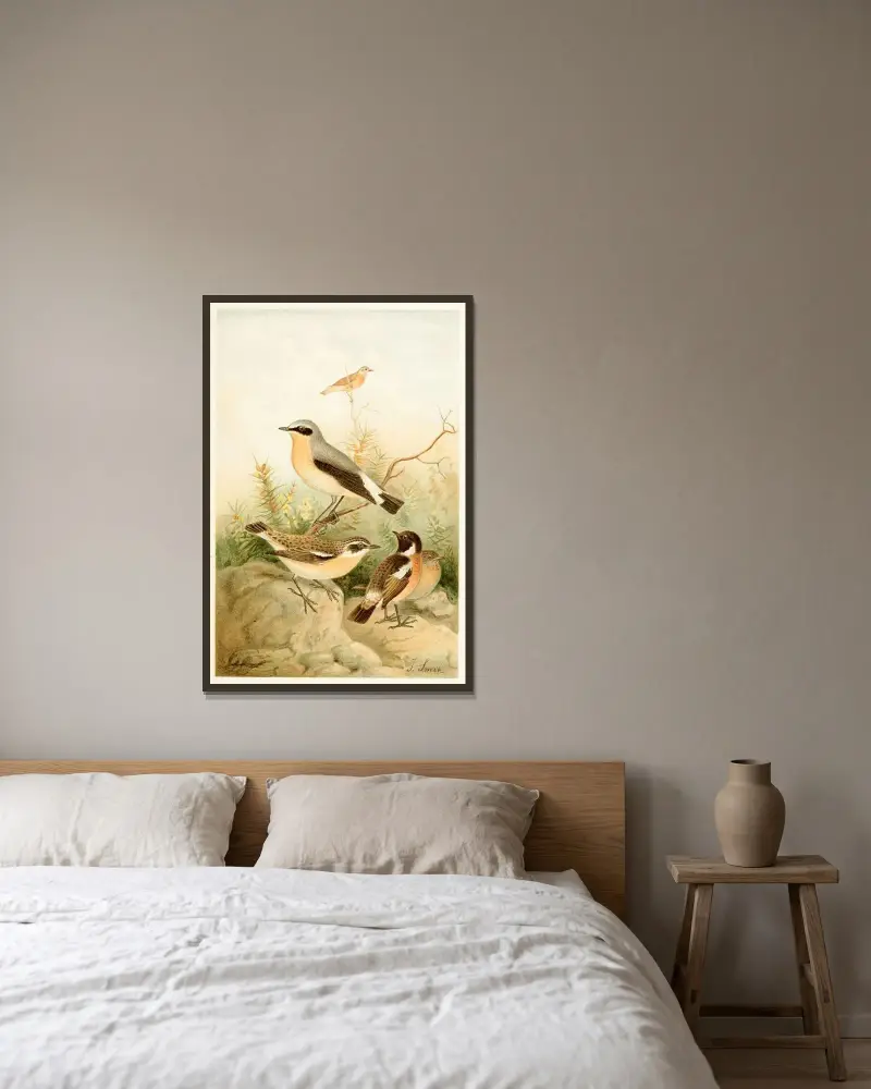 Wheatear, Stonechat and Whinchat av Joseph Smit inramad på en vägg