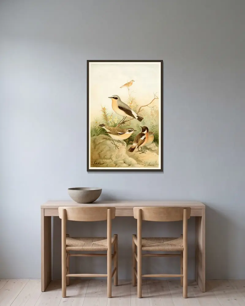 Wheatear, Stonechat and Whinchat av Joseph Smit inramad på en vägg