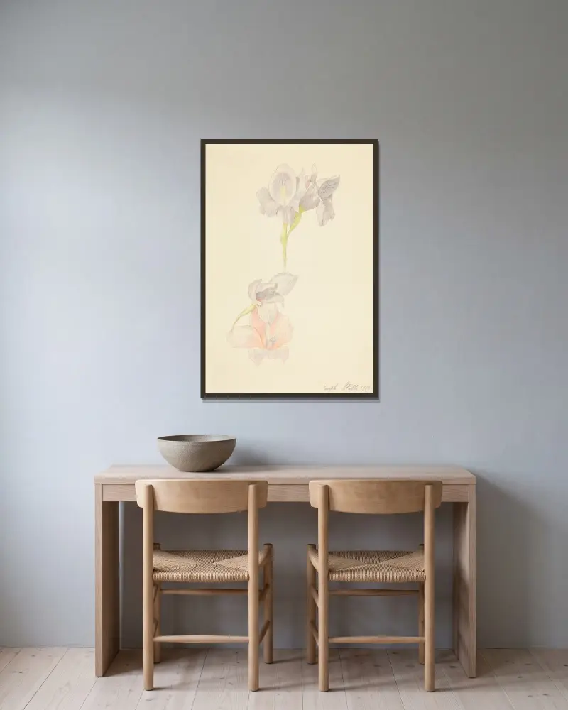 Gladioli av Joseph Stella inramad på en vägg