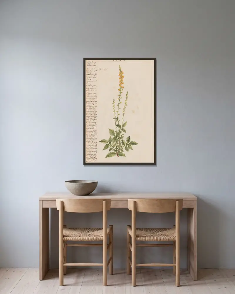 Agrimony, Joshua Webster v rámu na stěně