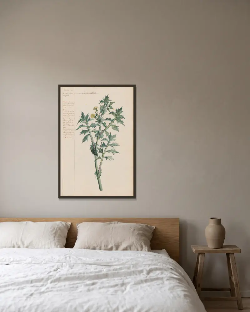 Gemeine Gänsedistel von Joshua Webster gerahmt an einer Wand