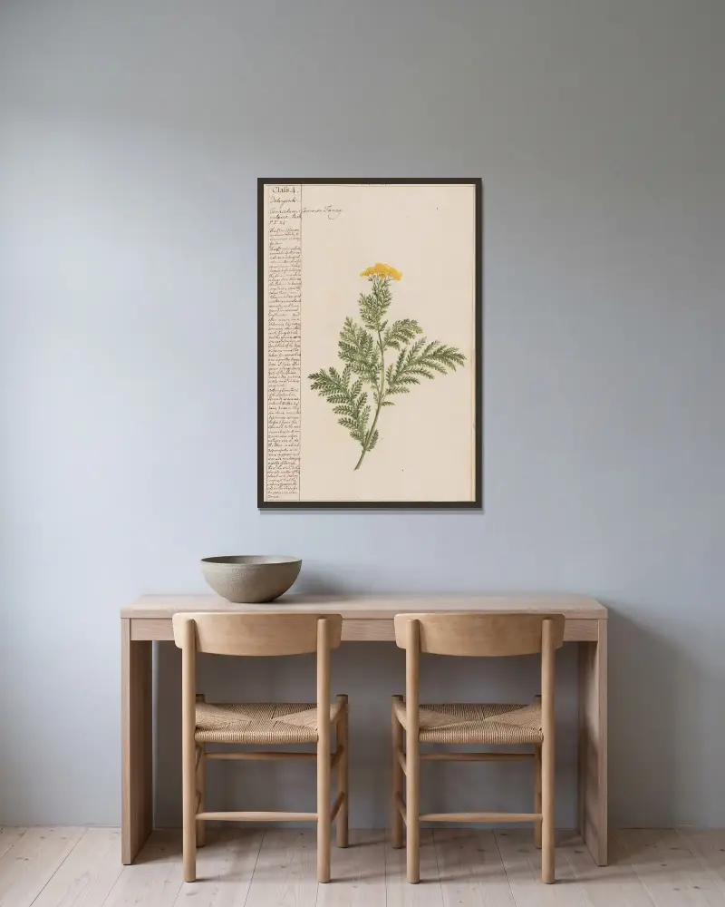 Reynfan, Joshua Webster v rámu na stěně