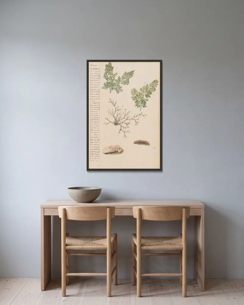 Plants from the mountains of Scotland av Joshua Webster inramad på en vägg