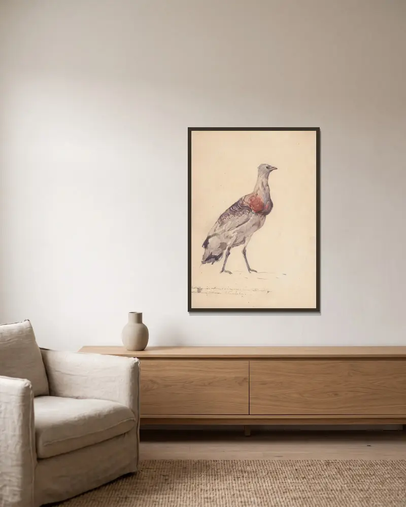 Study of bustard av Jozef Chelmonski inramad på en vägg