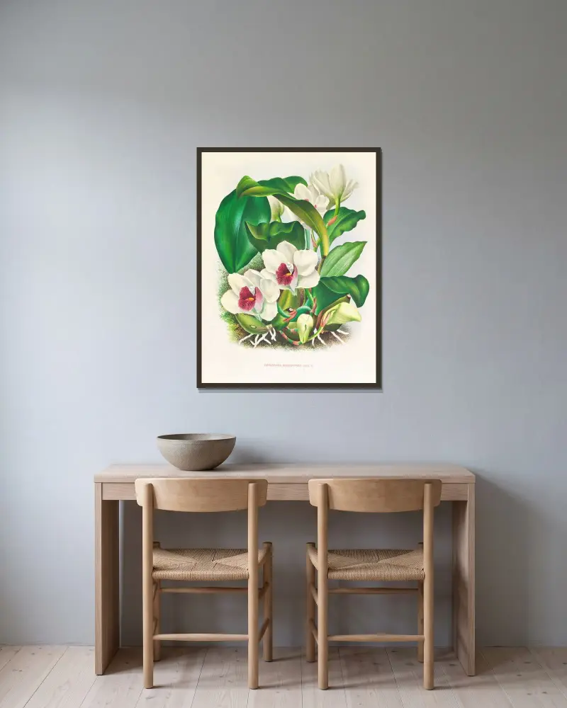 Bifrenaria harrisoniae von Jean Jules Linden gerahmt an einer Wand