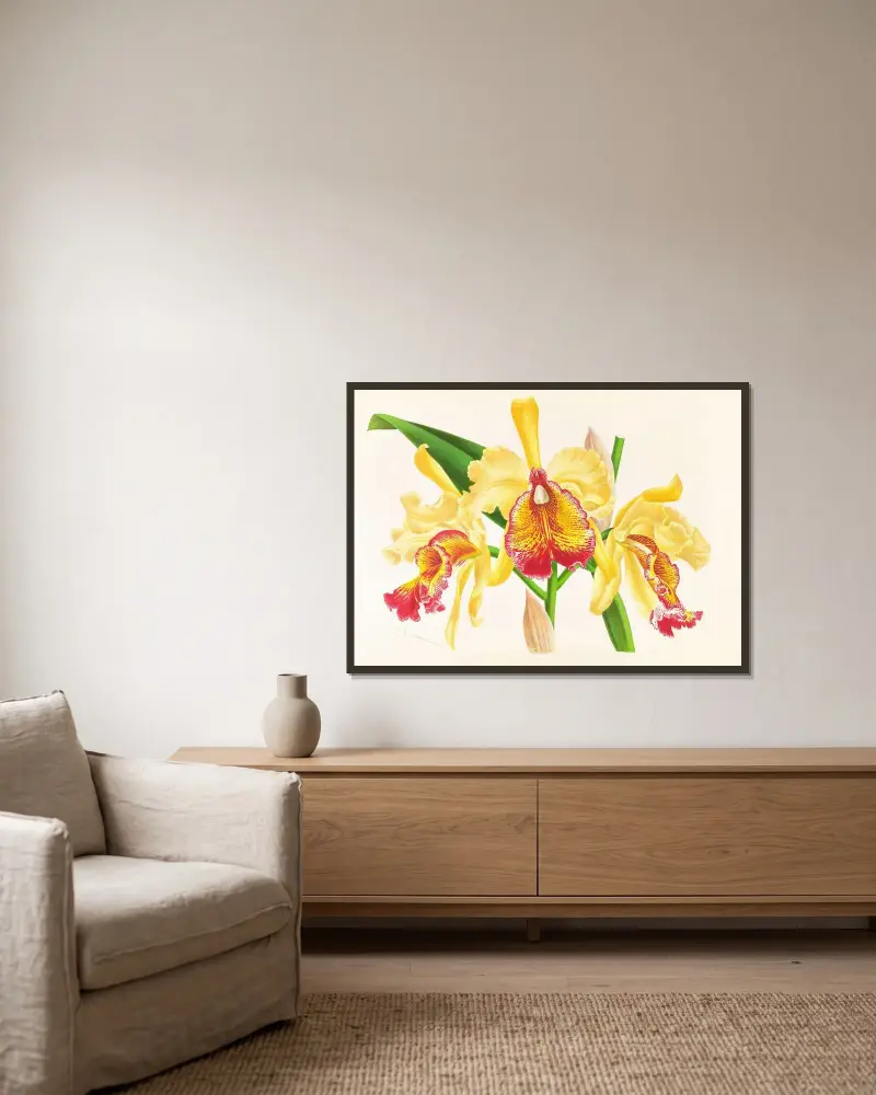 Cattleya Aurea av Jean Jules Linden inramad på en vägg