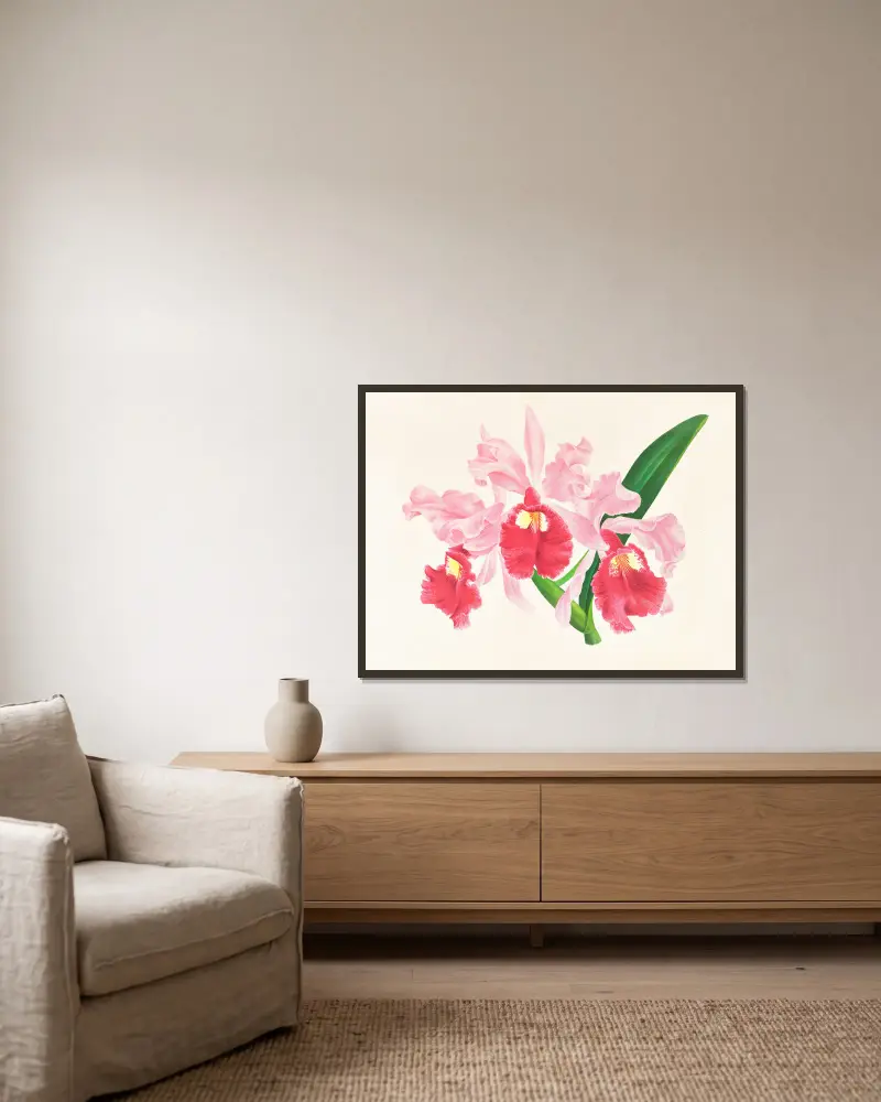 Cattleya gigas von Jean Jules Linden gerahmt an einer Wand
