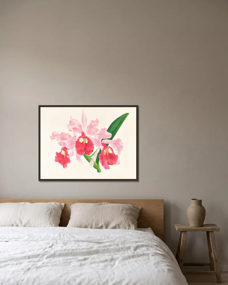 Cattleya gigas von Jean Jules Linden gerahmt an einer Wand