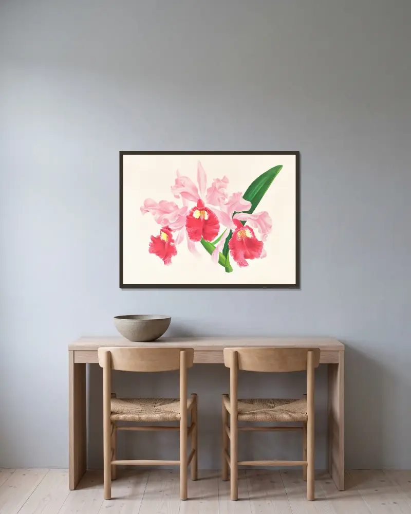 Cattleya gigas von Jean Jules Linden gerahmt an einer Wand