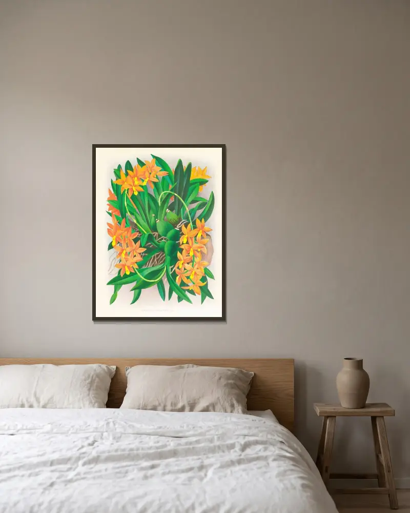 Epidendrum vitellinum av Jean Jules Linden inramad på en vägg