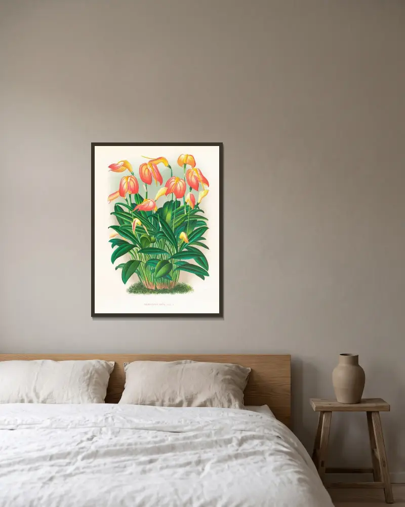 Masdevallia ignea av Jean Jules Linden inramad på en vägg