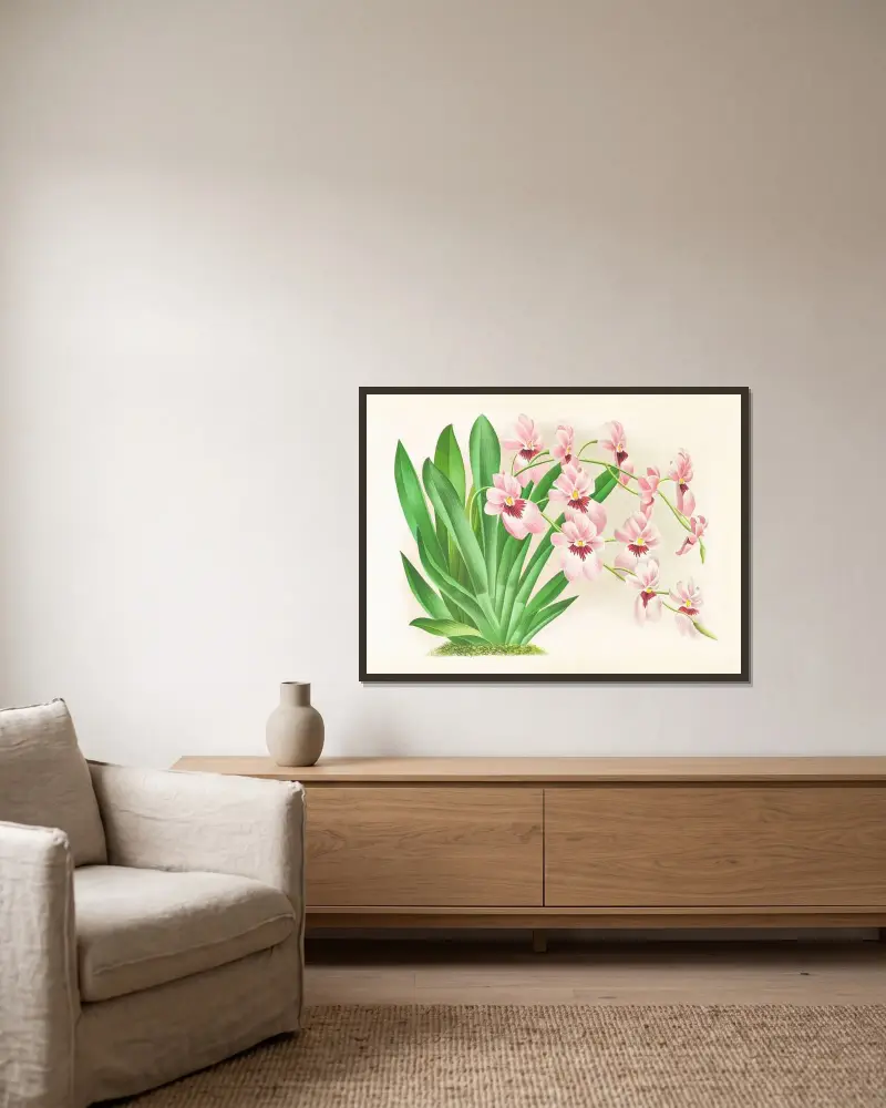 Miltonia vexillaria av Jean Jules Linden inramad på en vägg