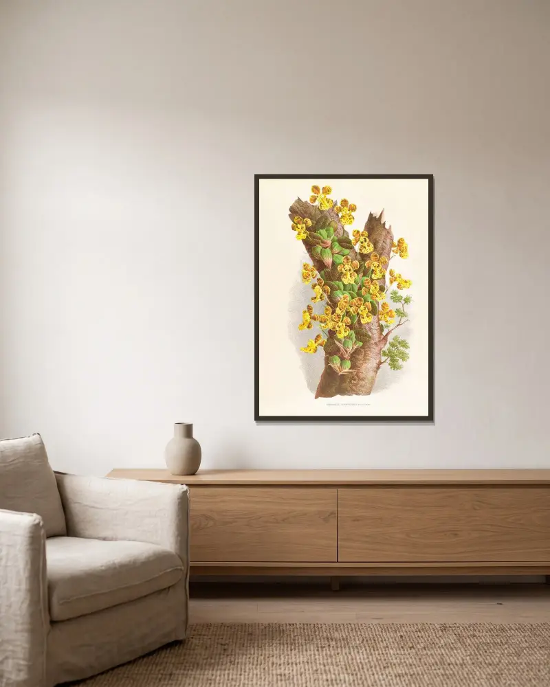Oncidium Limminghei av Jean Jules Linden inramad på en vägg