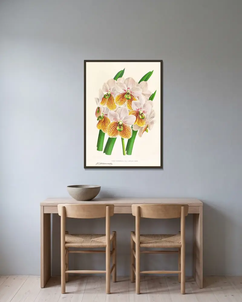 Vanda Sanderiana var Labello Viridi av Jean Jules Linden inramad på en vägg