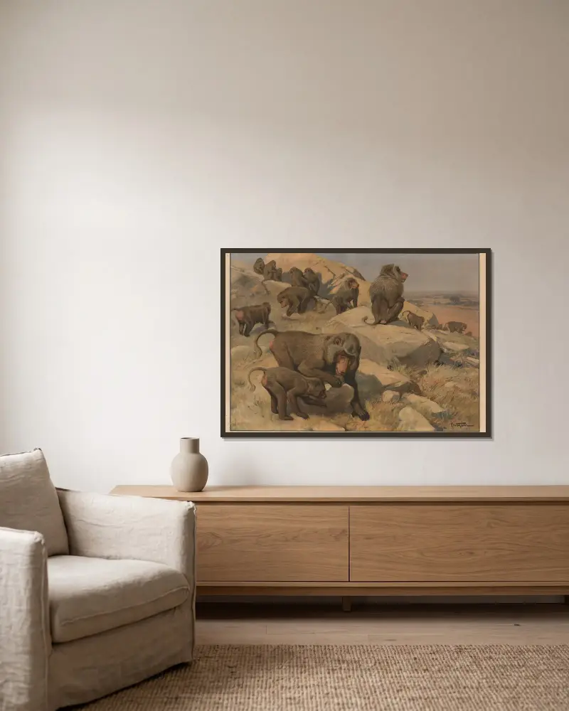 Pavian von Karl Wagner gerahmt an einer Wand