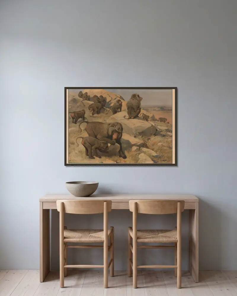 Pavian von Karl Wagner gerahmt an einer Wand