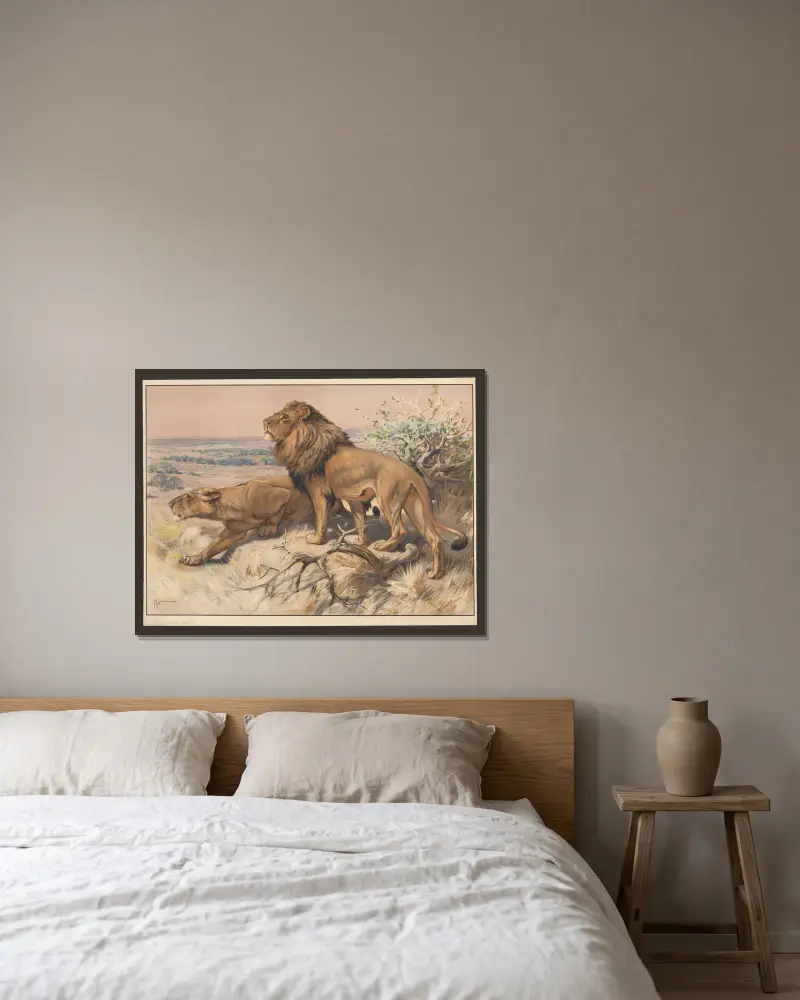 Löwe und Löwin von Karl Wagner gerahmt an einer Wand