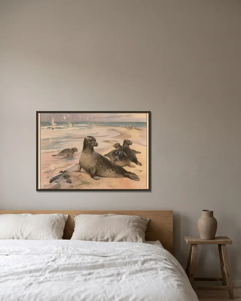 Seehund von Karl Wagner gerahmt an einer Wand