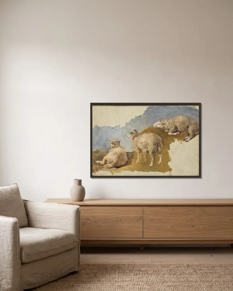 Drei Schafe. Studie von Kilian Zoll gerahmt an einer Wand