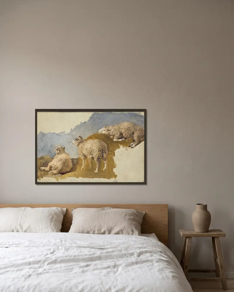 Drei Schafe. Studie von Kilian Zoll gerahmt an einer Wand