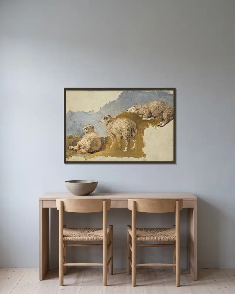 Drei Schafe. Studie von Kilian Zoll gerahmt an einer Wand