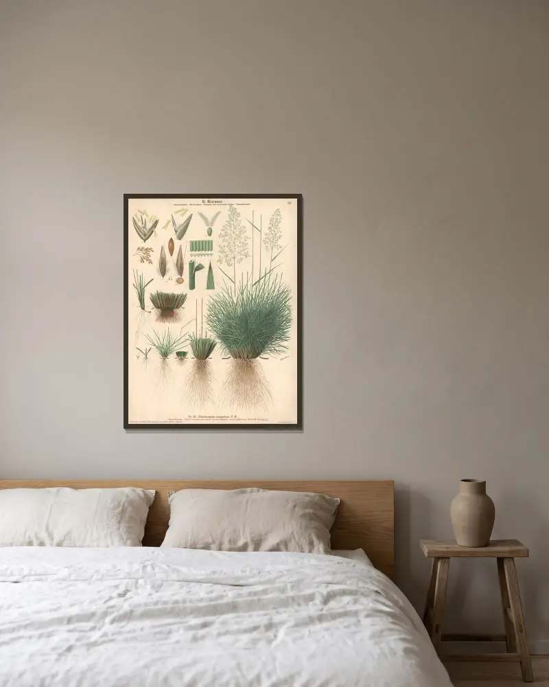 Tufted hair- grass, sussock grass av Knut Quelprud inramad på en vägg