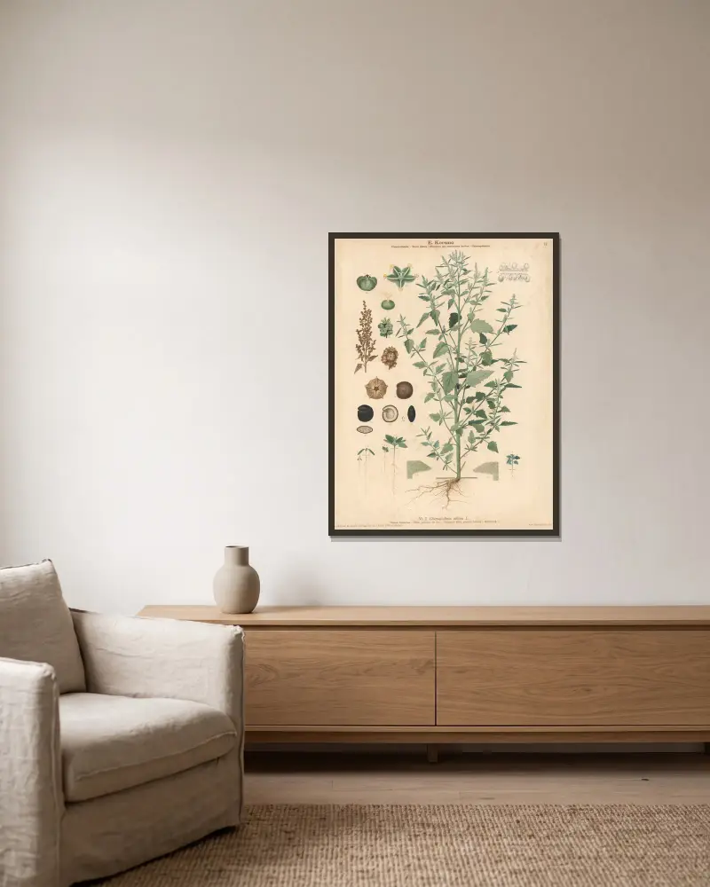 White goosefoot, fat hen av Knut Quelprud inramad på en vägg