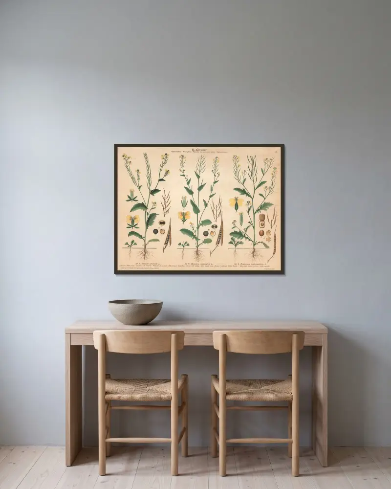 Ackersenf, Acker-Kohl, Wilder Rettich, Ackerkresse von Knut Quelprud gerahmt an einer Wand