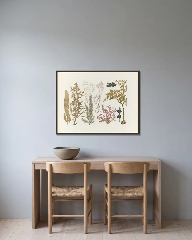 Nihon suisan doshokubutsu zushu Pl.59 av Kumataro Ito inramad på en vägg
