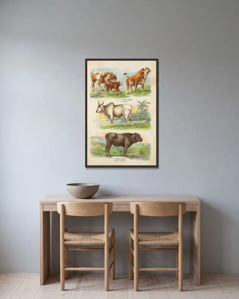Atlas över djurriket Pl.49 av Kurt Lampert inramad på en vägg