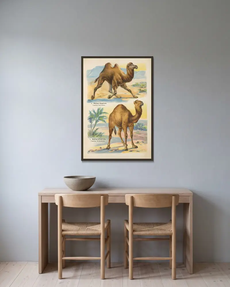 Atlas państwa zwierzęcego Pl.57 av Kurt Lampert inramad på en vägg